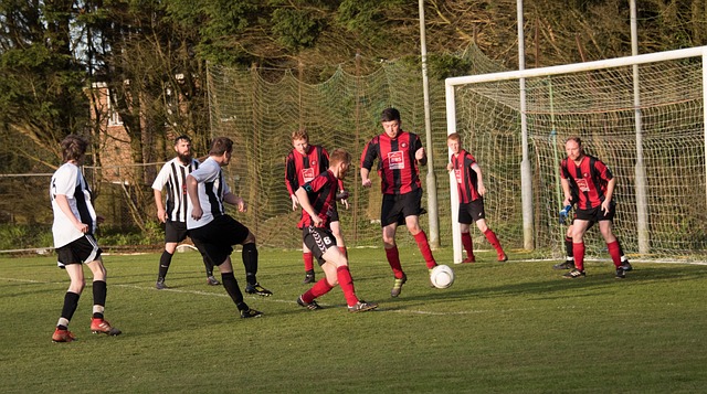 显得尤为重 显得尤为重