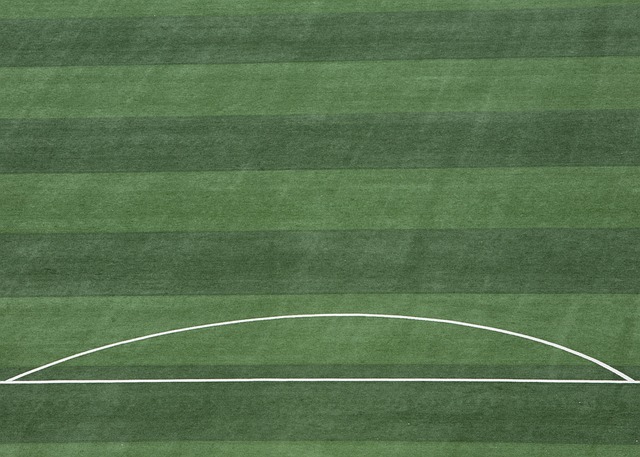 在具体分析 在具体分析