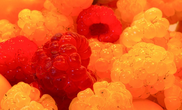 星空体育(中国)官方网站-领先全球的多元化体育娱乐平台