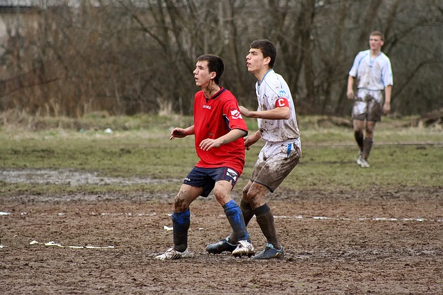 澳大利亚游 澳大利亚游