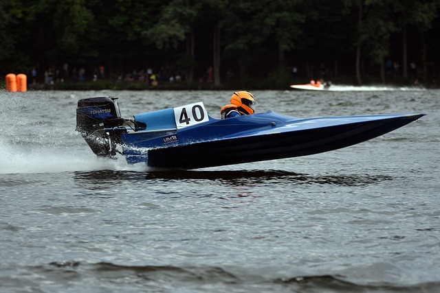 优秀体育人 优秀体育人