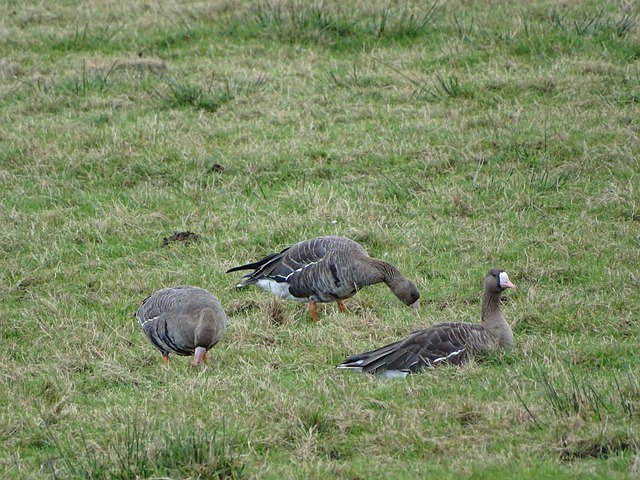 够专心于技 够专心于技