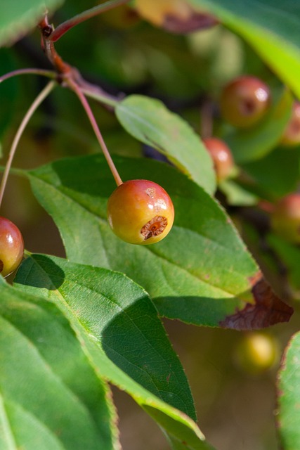 团队力量的 团队力量的