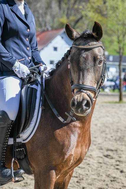 许多著名运 许多著名运