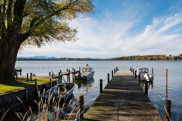 包括定期体 包括定期体