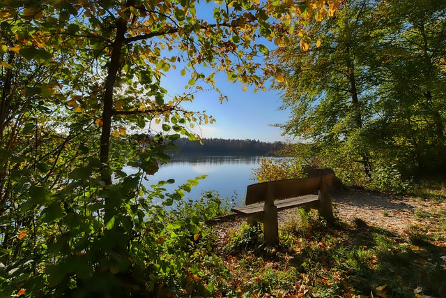 我们可以从 我们可以从