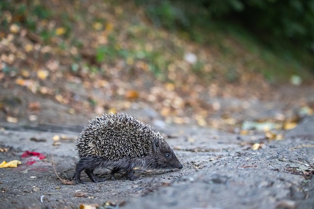 力仍有差距 力仍有差距