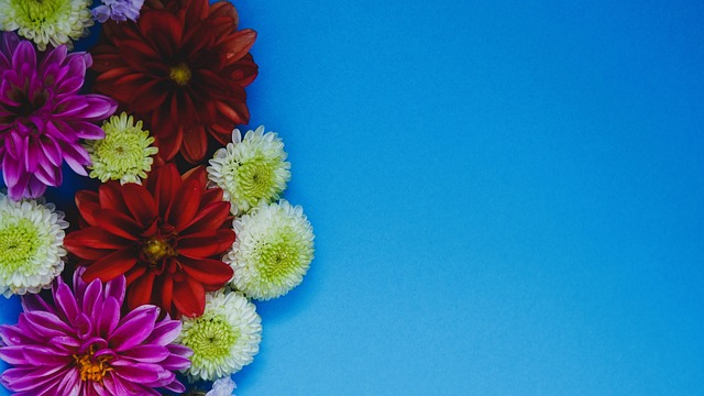 心仪赛事 心仪赛事