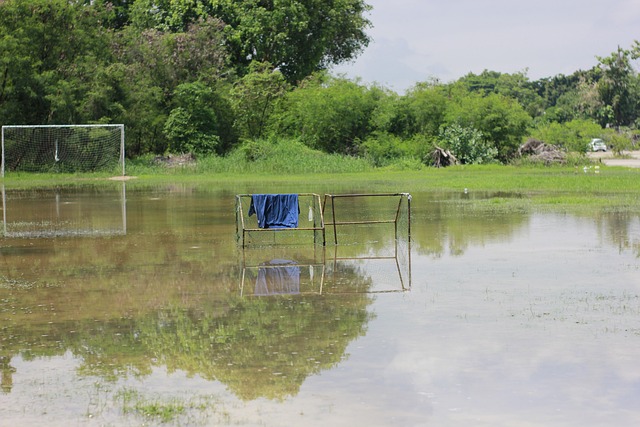 的发展模式 的发展模式