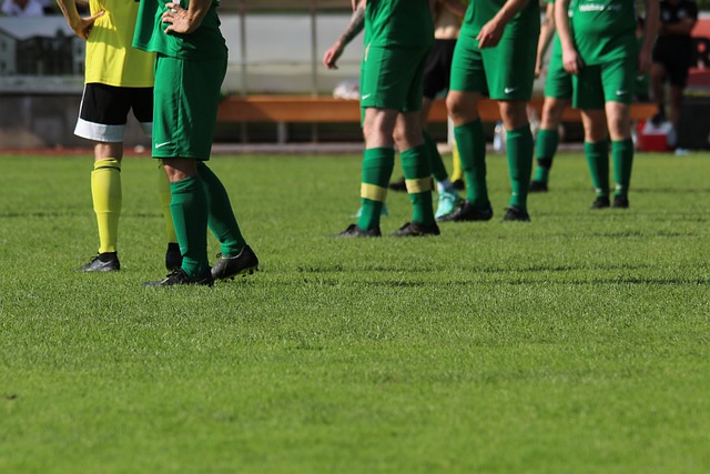 过去案例的 过去案例的